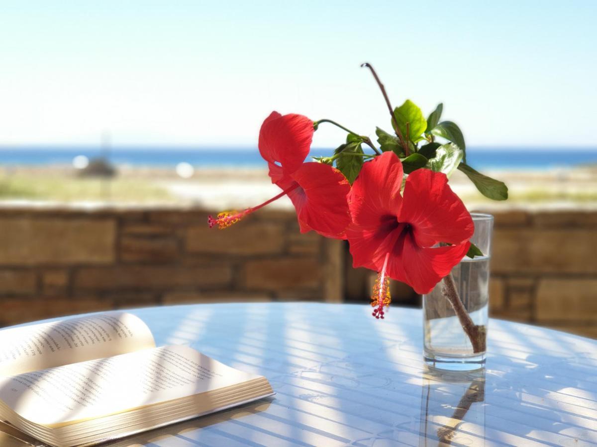 Kyma Apartments - Naxos Agios Prokopios Bagian luar foto