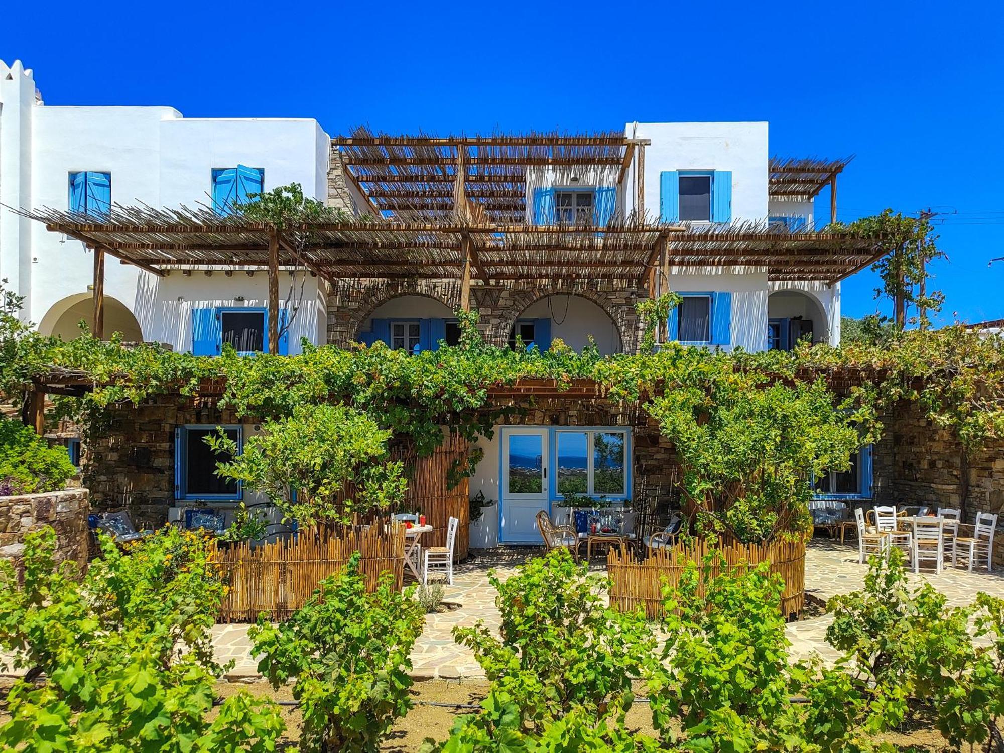 Kyma Apartments - Naxos Agios Prokopios Bagian luar foto