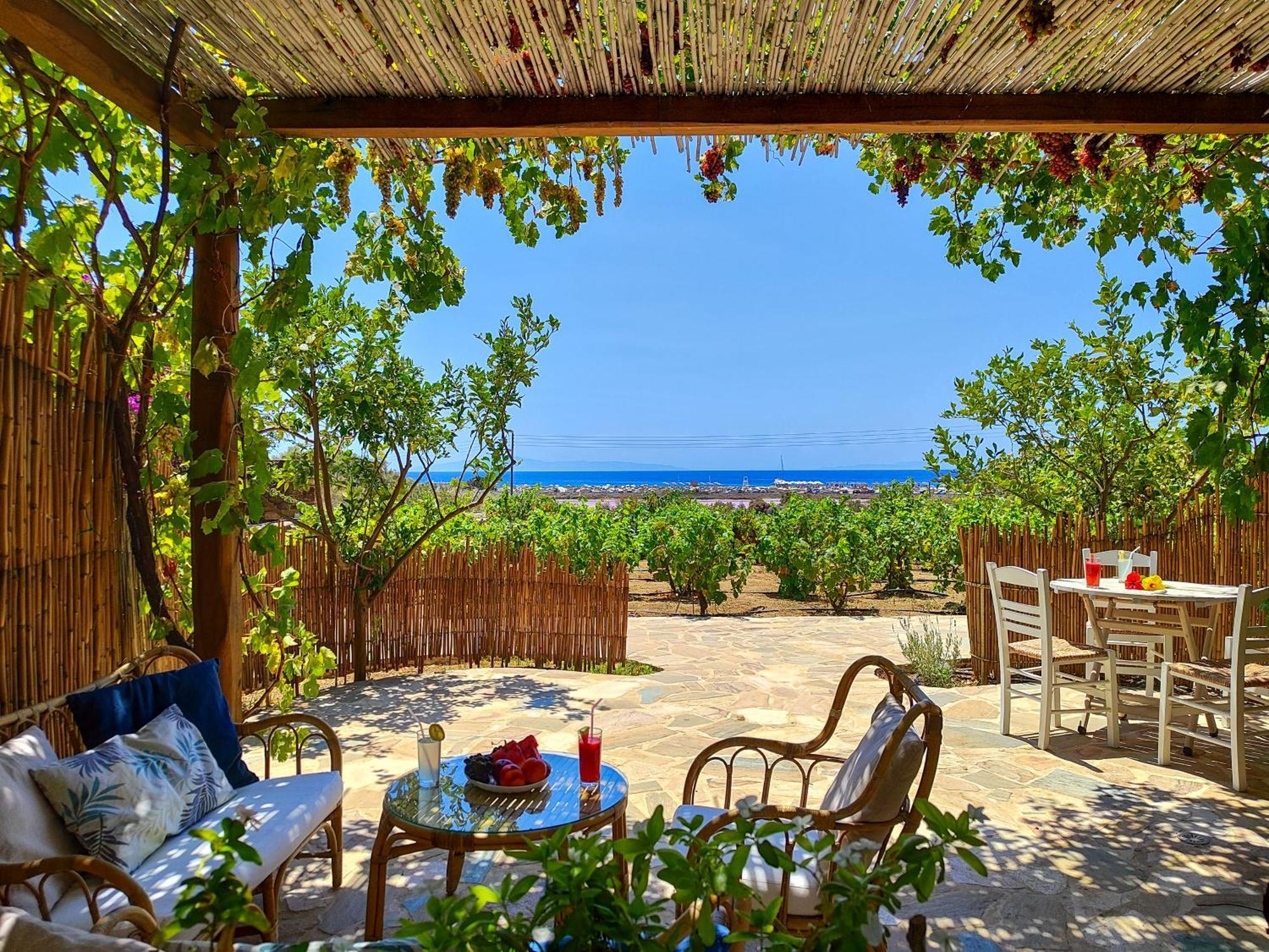 Kyma Apartments - Naxos Agios Prokopios Bagian luar foto